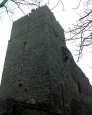 061210 Radyne793.jpg